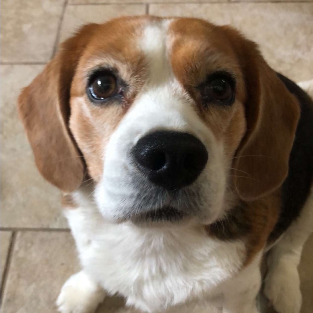 Meet your Posh Ambassador, Emma!